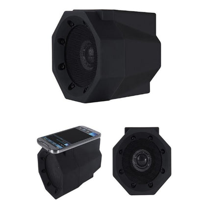 Magnetic Induction Speaker