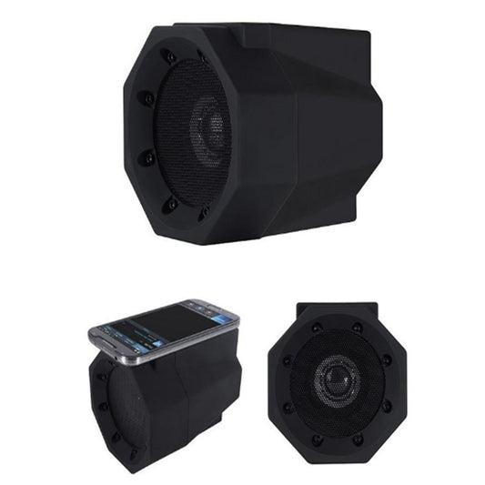 Magnetic Induction Speaker
